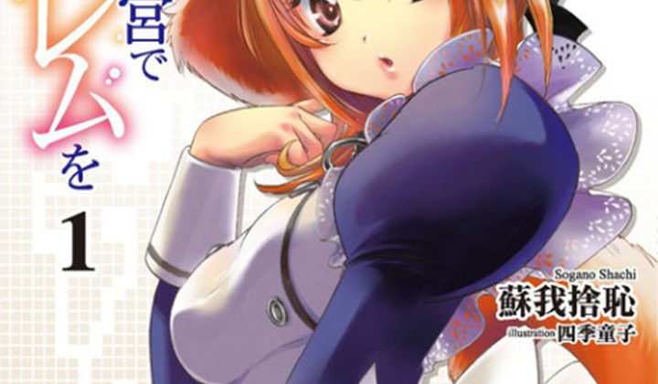 Isekai Meikyuu de Harem wo